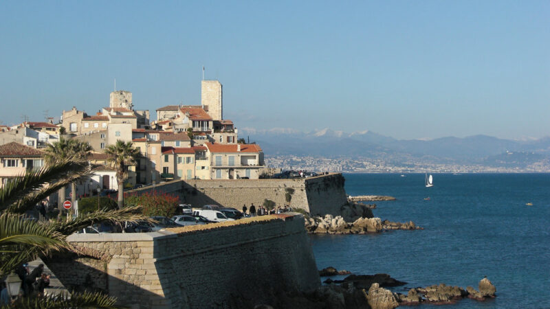 Société spécialisée dans le traitement de punaise de lit antibes et alpes maritimes