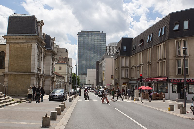 Desinsectisation punaise de lit montreuil, en seine saint denis.