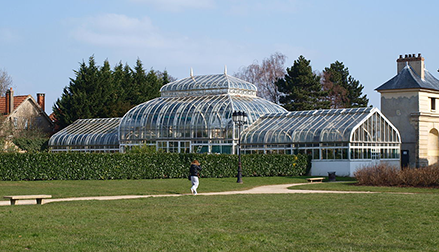 Traitement de la punaise de lit Sainte-Geneviève-des-Bois, en Essonne - Track Nuisibles