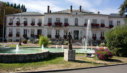 Traitement de la punaise de lit Viry Châtillon, en Essonne - Track Nuisibles