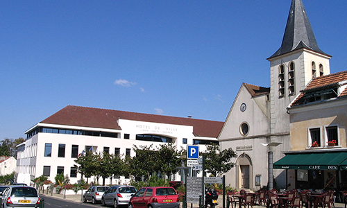 Track Nuisibles, Expert désinsectisation punaise de lit Champs Sur Marne, seine et marne